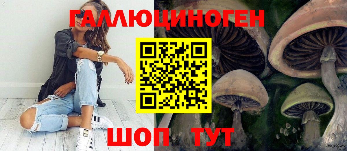 Углич  Псилоцибиновые грибы MAGIC MUSHROOMS  где найти наркотики  Вход с VPN  Галлюциногенные грибы Cubensis 